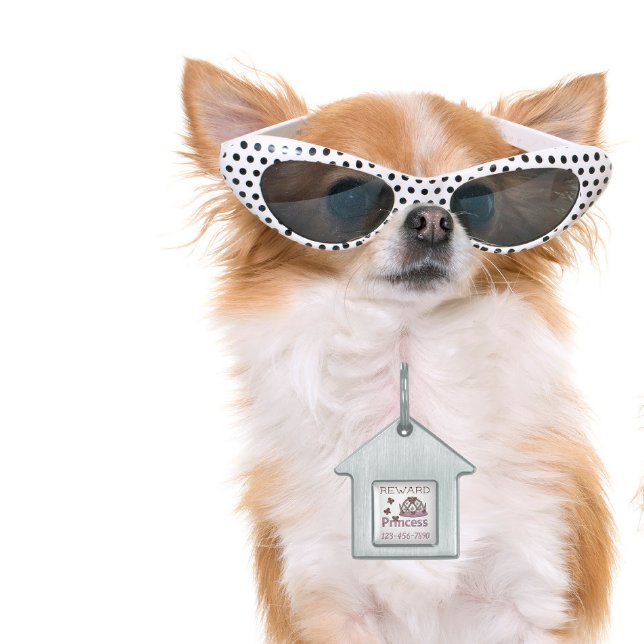 Placa Para Mascotas Viola Princess Crown (Subido por el creador)