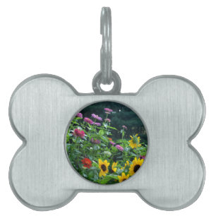 Placa Para Mascotas Vistas al jardín, margaritas, cosmos, girasoles