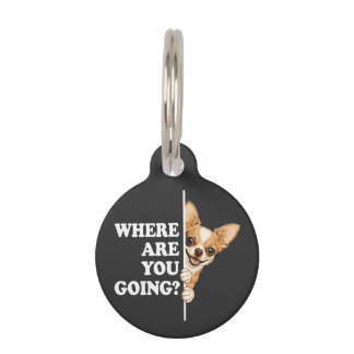 Placa Para Mascotas Where Are You Going Funny Chihuahua