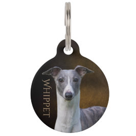 Placa Para Mascotas Whippet