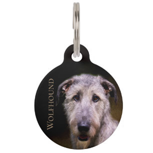 Placa Para Mascotas Wolfhound irlandés