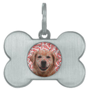Placa Para Mascotas Xmas Sonriendo Perro recuperador de oro