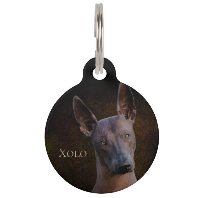 Placa Para Mascotas Xoloitzcuintle (Anverso)