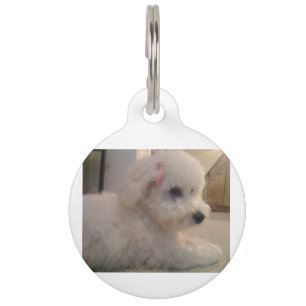 Placa Para Mascotas Yema de papas fritas Bichon