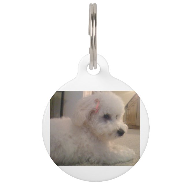 Placa Para Mascotas Yema de papas fritas Bichon (Anverso)