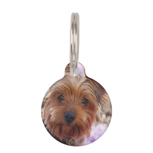 Placa Para Mascotas Yorkshire Terrier