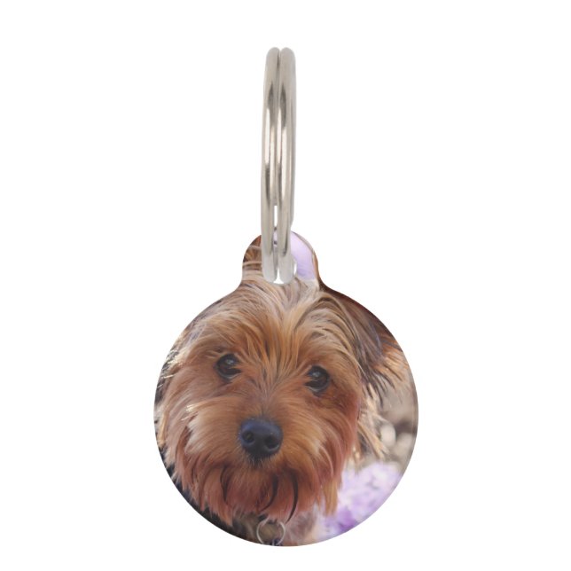 Placa Para Mascotas Yorkshire Terrier (Anverso)