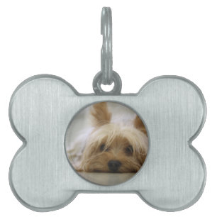 Placa Para Mascotas yorkshire terrier puppy mascota lindo perro ojos c