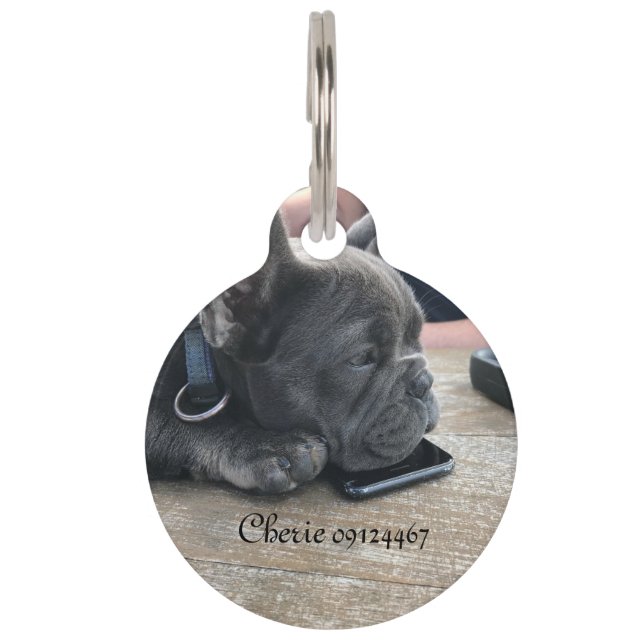 Placa para perros (Anverso)