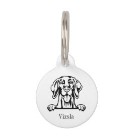 Placa personalizada con nombre para perro Vizsla