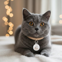 Placa Personalizada para Mascota “Estoy Perdido Ll