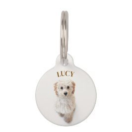 Placa Personalizada Redonda para Mascotas