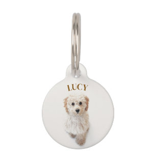 Placa Personalizada Redonda para Mascotas