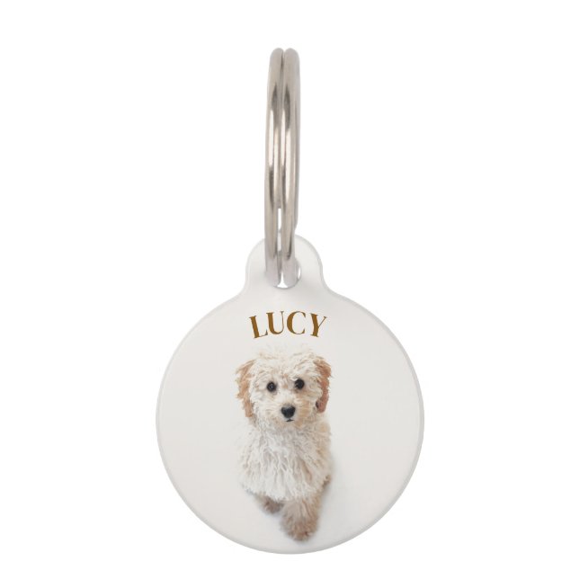Placa Personalizada Redonda para Mascotas (Anverso)