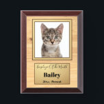 Placa Trofeo Funny gato empleado del Personalizado del mes. Fot<br><div class="desc">Gracioso premio de fotografía a empleado de un gato del mes Personalizado</div>