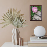 Placa Trofeo Oración de serenidad Pink Peony Bloom Floral<br><div class="desc">La placa de la pared de madera muestra la foto de una flor rosada de Peony colgando sobre un banco de un parque de madera junto con las palabras inspiradoras de Serenity Prayer. ¡Un bonito diseño floral! Seleccione su tamaño de placa de pared. ¡Un regalo para la familia y los...</div>