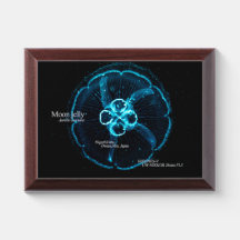Silueta de medusa brillante