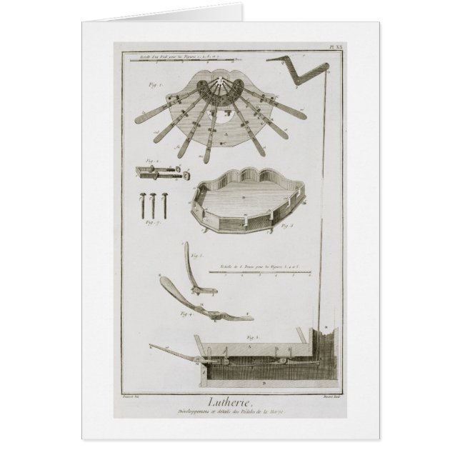 Placa XX: La extensión y los funcionamientos de (Frente)