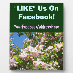 Placas de contador de Facebook florecen NOS GUSTA 