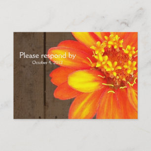 Placas de madera, Naranja Zinnia RSVP con sobre