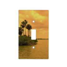 Ensueño de la palmera