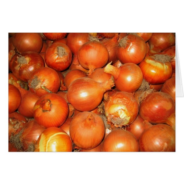 Placer de la cebolla (Anverso (Horizontal))