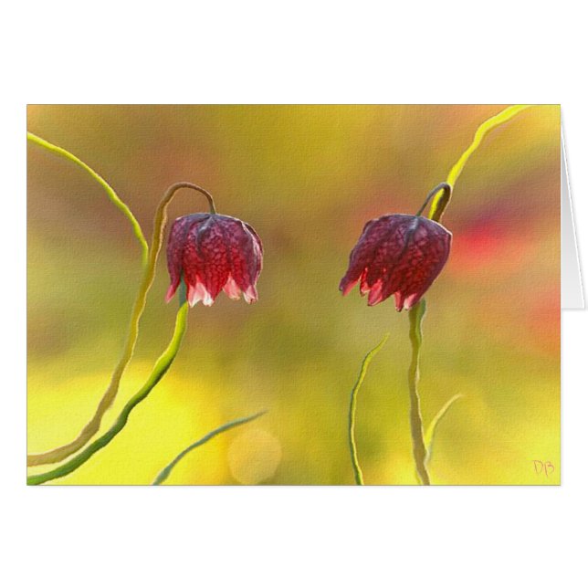 Placer de la mañana (Anverso (Horizontal))