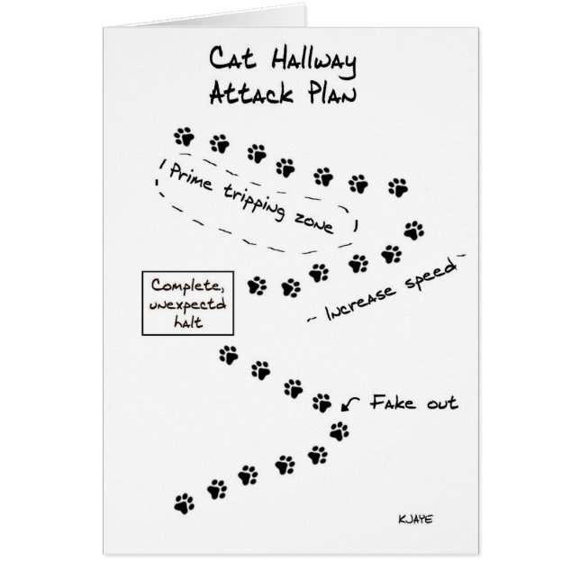 Plan del ataque del vestíbulo del gato (Frente)