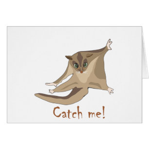 planeador del azúcar