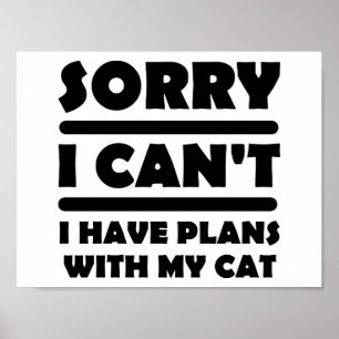 Planes Con Mi Gato Póster Divertido