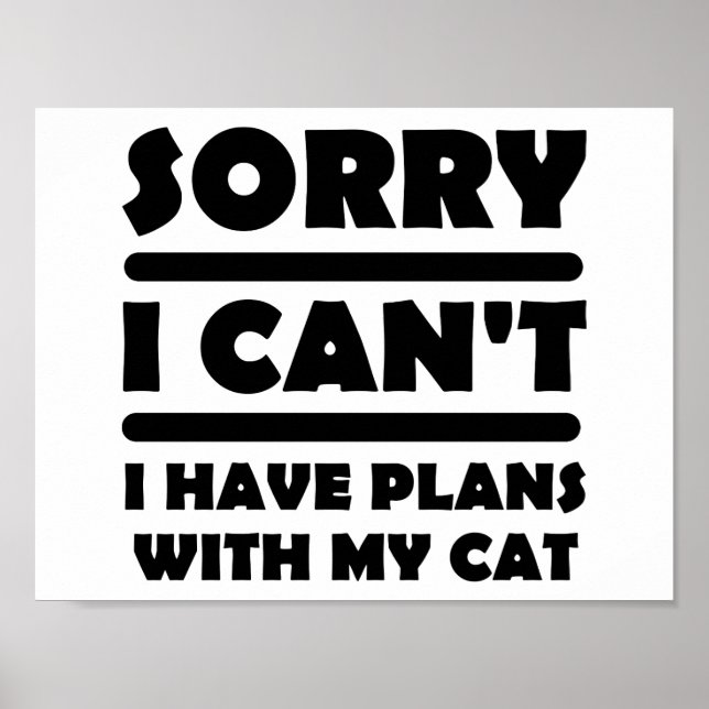 Planes Con Mi Gato Póster Divertido (Frente)