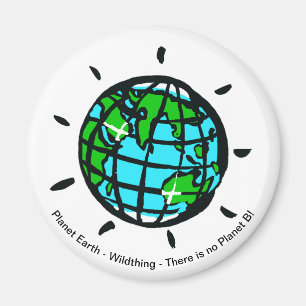 Planeta Tierra - imán