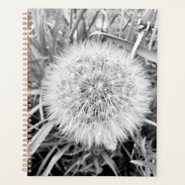 Planificador (Anverso)