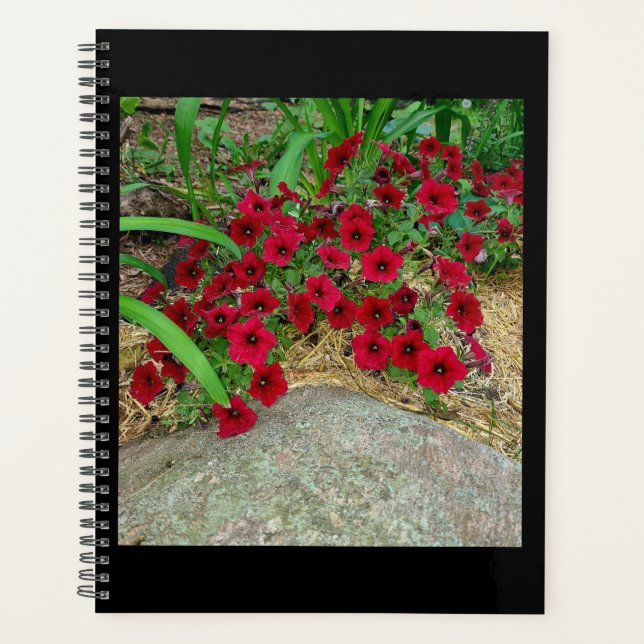 Planificador (Anverso)