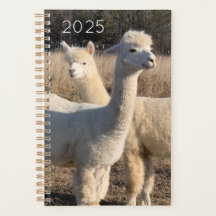 Planificador 2025 - Alpacas Abby & Bailey