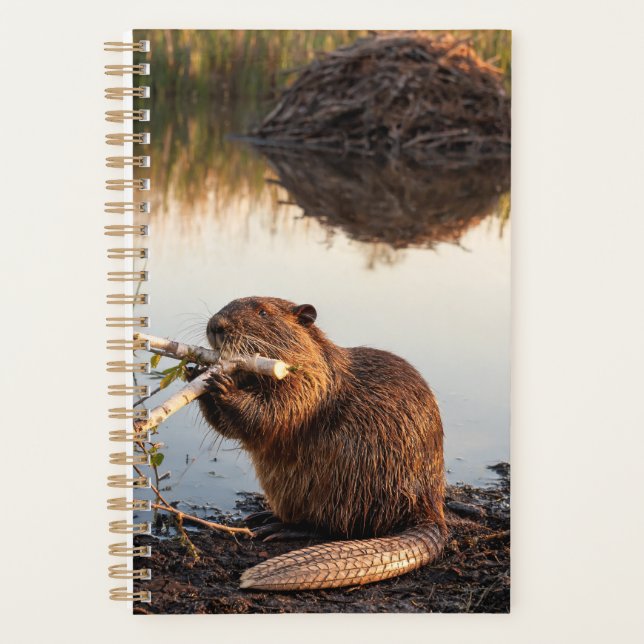 Planificador Beaver 2027 (Anverso)