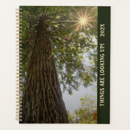 Planificador Bosque Pacífico con Luz Dorada