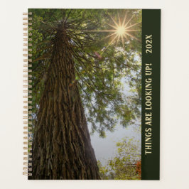 Planificador Bosque Pacífico con Luz Dorada