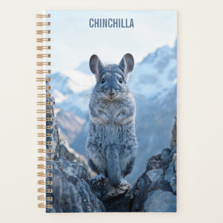Planificador Chinchilla 2027