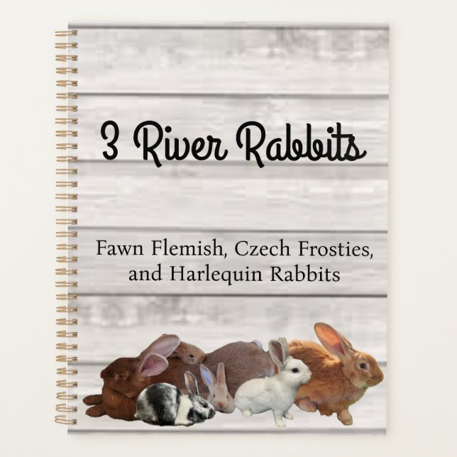 Planificador de 3 Rivers Rabbits (Anverso)