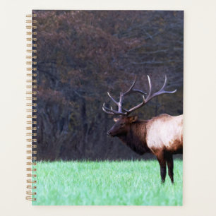 Planificador de alces del Gran Monte Smoky 2026