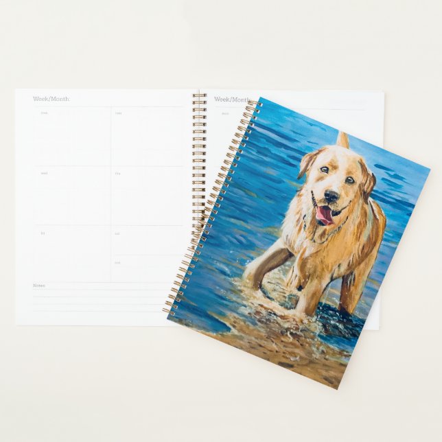 Planificador de amor de laboratorio (Demostración)