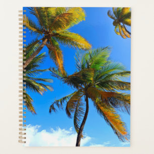 Planificador de árboles de coco - Plan en paraíso