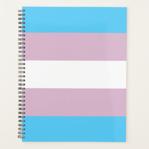 Planificador de bandera transgénero