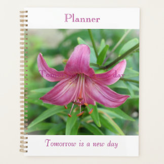 Planificador de Belleza Rosa
