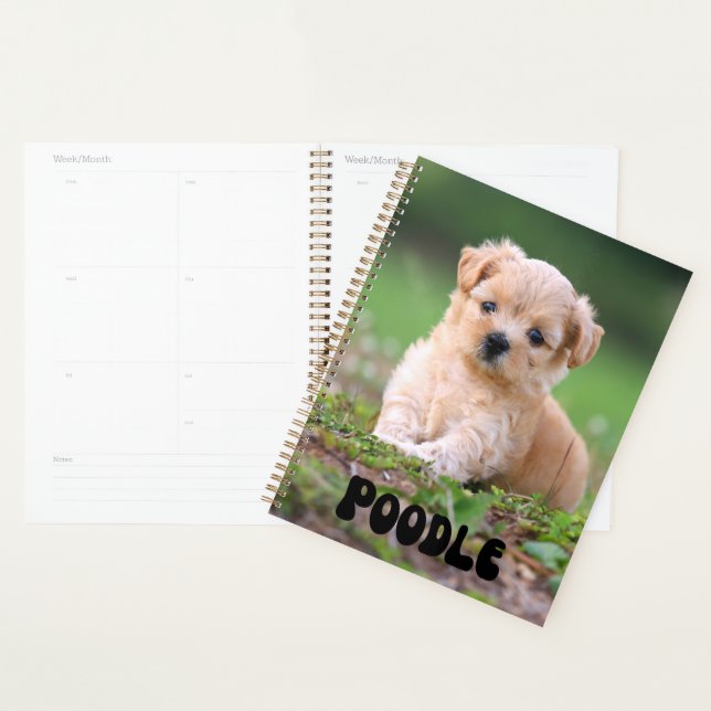Planificador de calendario de brotes de cartón (Demostración)