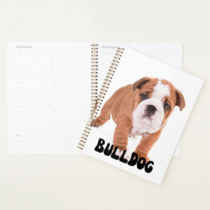 Planificador de calendario de Bulldog de cálculo