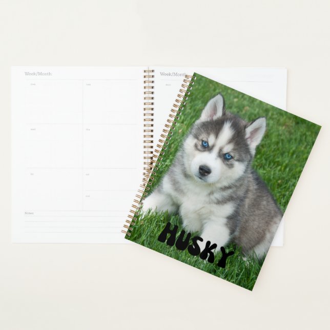 Planificador de calendario de papilla rápida (Demostración)