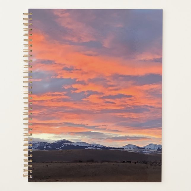 Planificador de Cielo Pintado (Anverso)