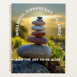 Planificador de conciliación integral